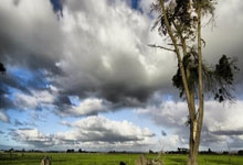 领先优势明显引爆全场！内马尔意外战胜掘金赢得满堂喝彩